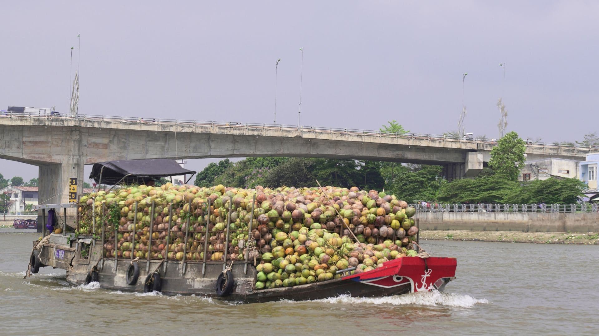 Chợ nổi Cái Răng: Cẩm nang du lịch trải nghiệm hoàn hảo 2025 64 thuyền chở dừa tại chợ nổi cái răng