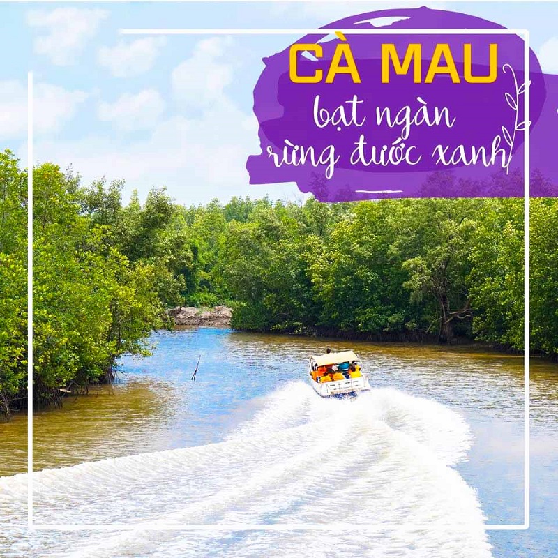Giá vé tàu cao tốc đi Đất Mũi - Ca nô xuyên rừng đước Cà Mau 6 Gia Ve Tau Cao Toc Nam Can Dat Mui