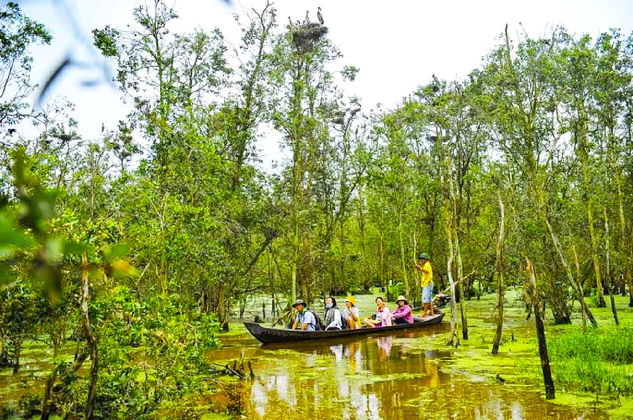 Khu bảo tồn đất ngập nước Láng Sen - Trở về mùa nước nổi 2025 22 Xuyên qua rừng tràm nguyên sinh