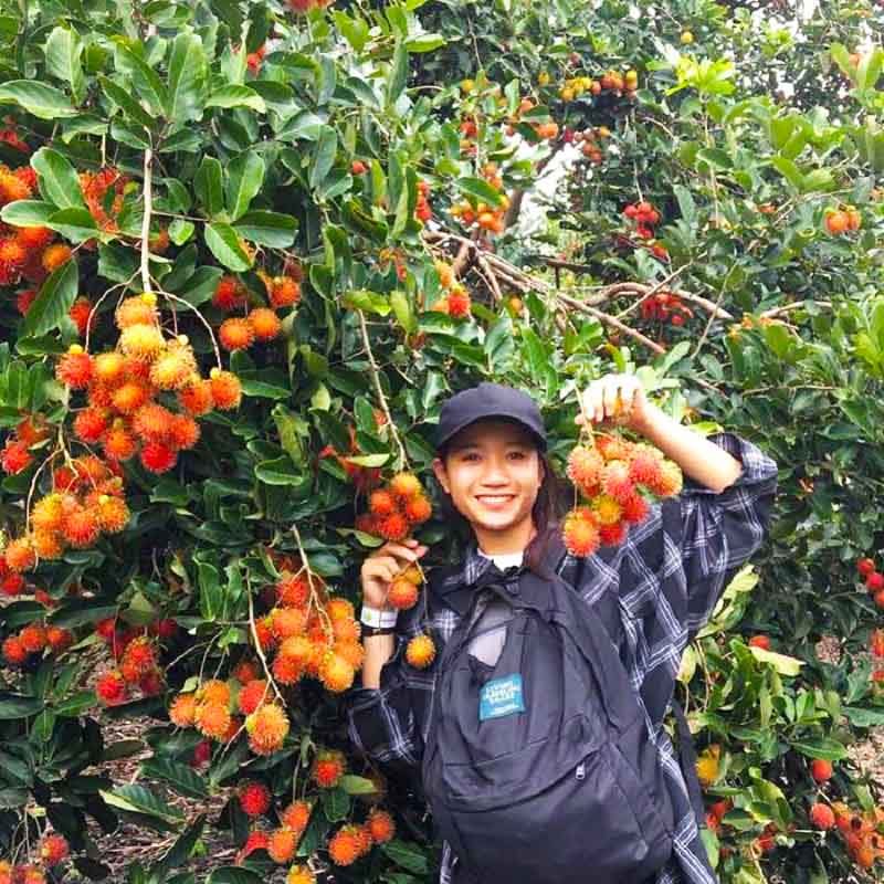 Kinh nghiệm du lịch Tiền Giang - Top 16 điểm đến hấp dẫn 2025 35 Check-in vườn trái cây Vĩnh Kim mùa chôm chôm