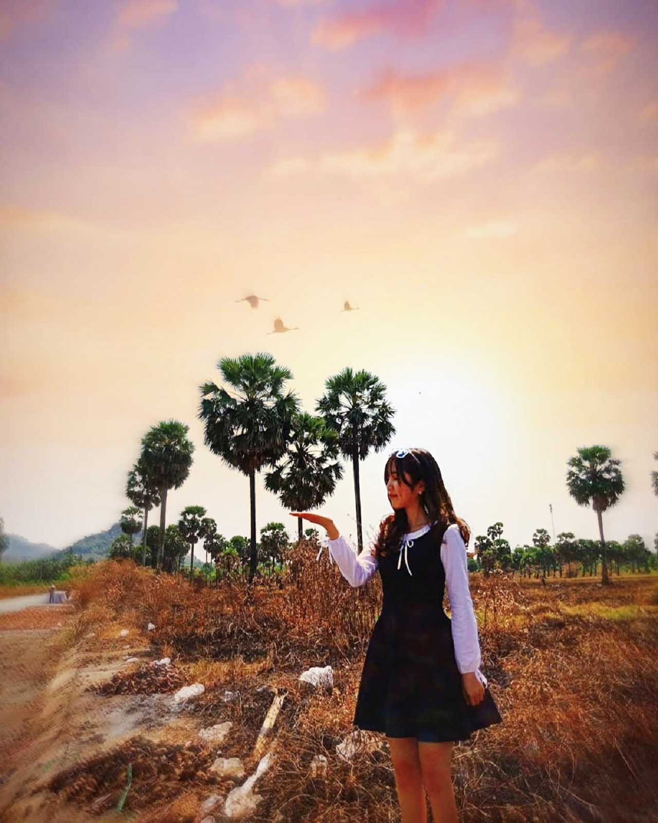 Cây thốt nốt An Giang - "Thoát ế" với cây thốt nốt trái tim cực ảo 37 Ảnh đẹp cây thốt nốt