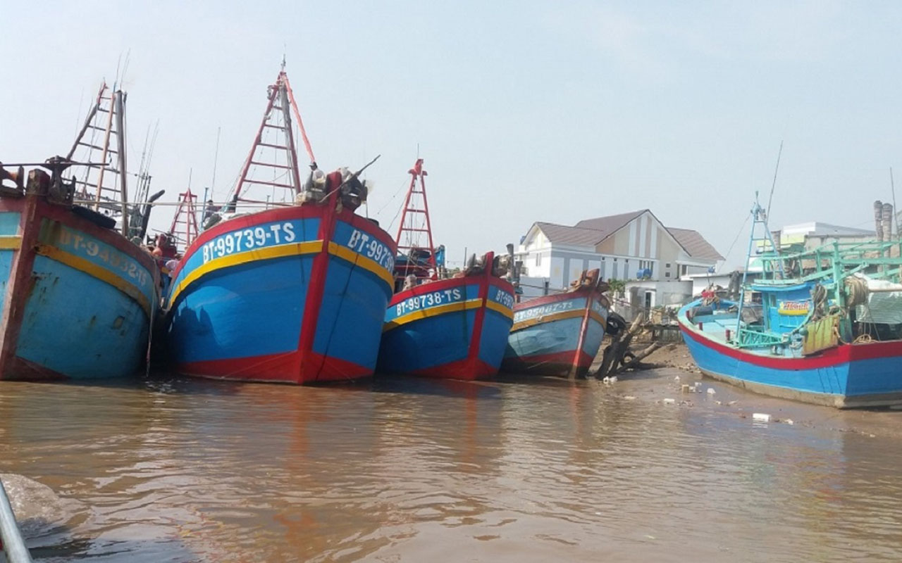 Biển Bình Đại Bến Tre - Vùng biển yên bình tại miền Tây (2025) 18 Đi thuyền với ngư dân đi biển bình đại