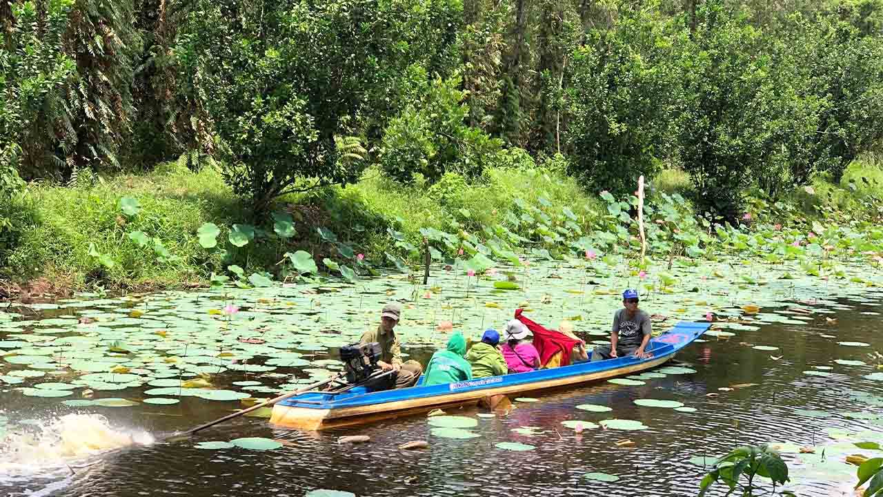 Du lịch Cà Mau - Điểm cuối cùng cực Nam của Tổ Quốc (2025) 41 địa điểm du lịch ở cà mau