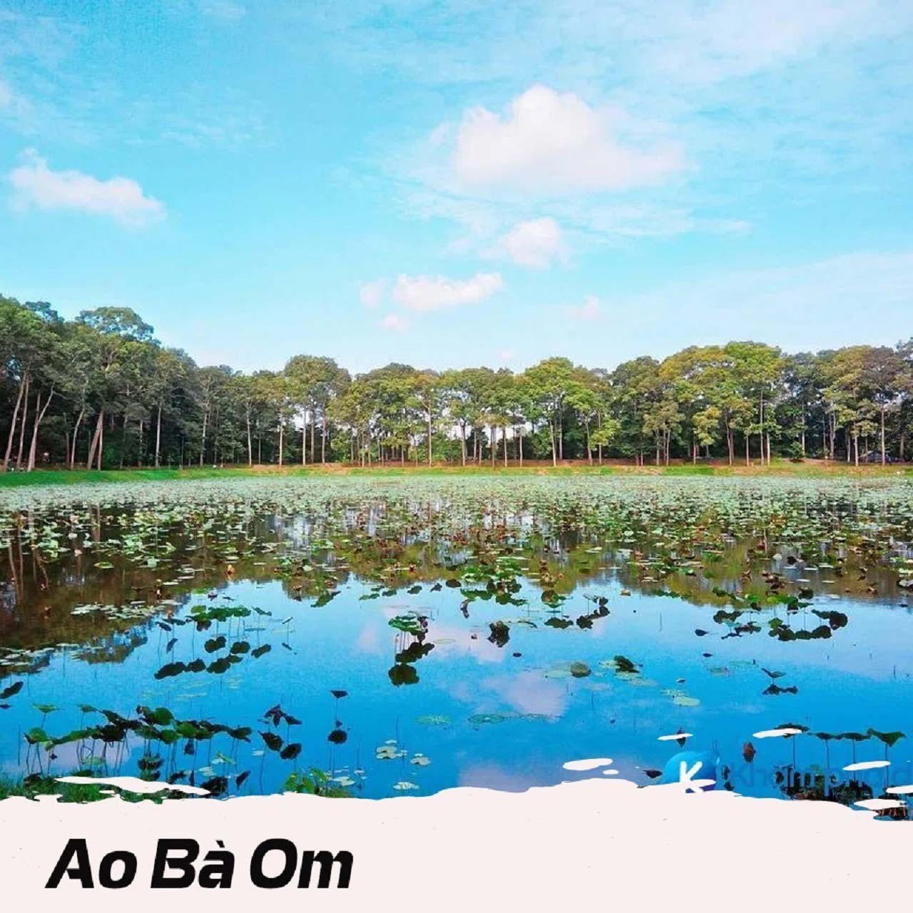 Ao Bà Om - Hé lộ những câu chuyện kì bí tại Trà Vinh (2025) 20 diện tích ao bà om