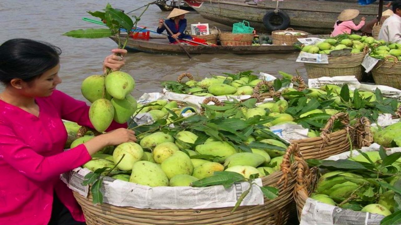 Chợ nổi Cái Bè Tiền Giang - Kinh nghiệm du lịch từ A đến Z (2025) 23 Đường đi đến chợ nổi
