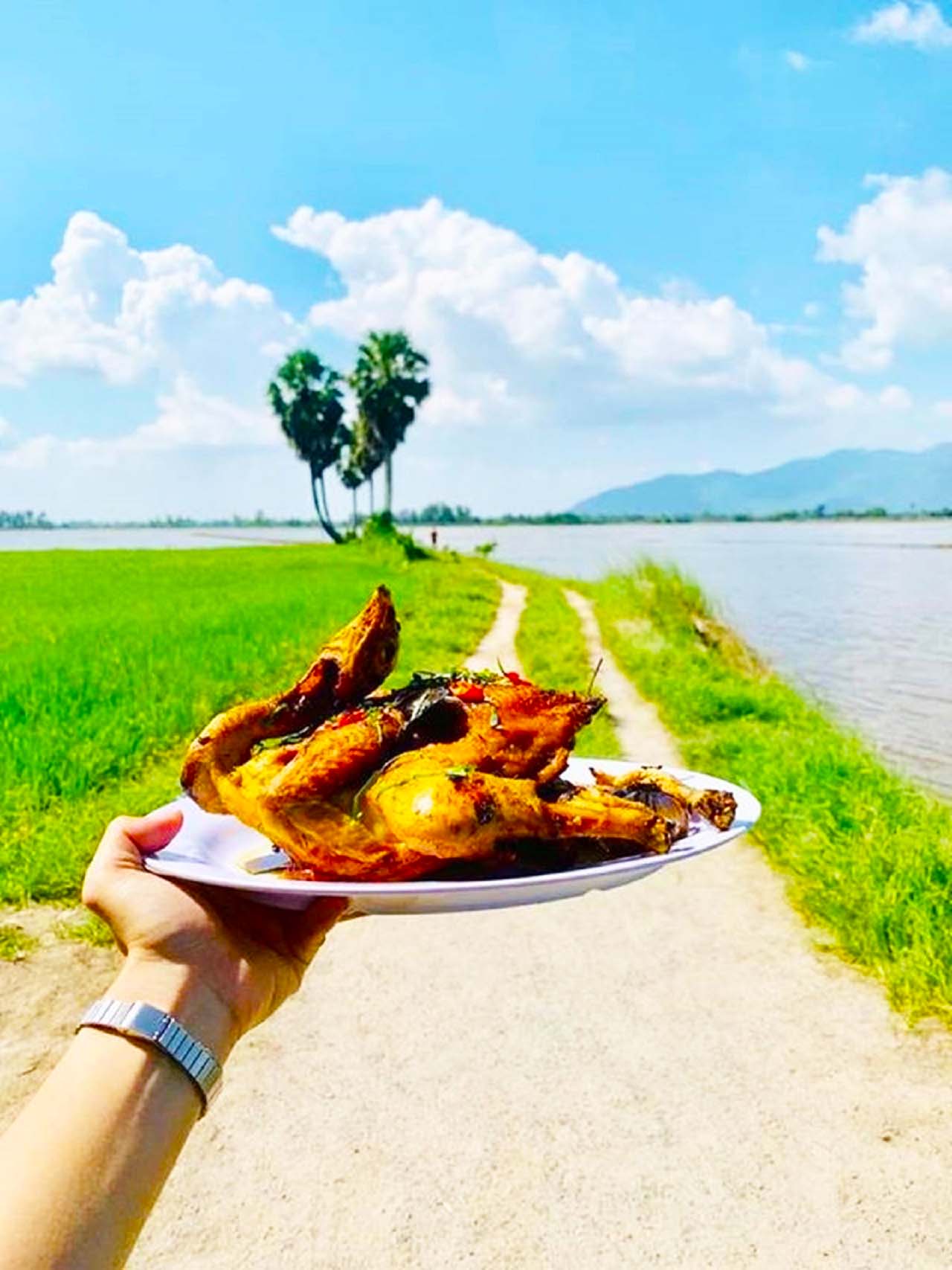 Cây thốt nốt An Giang - "Thoát ế" với cây thốt nốt trái tim cực ảo 42 Gà đốt Ô Thum