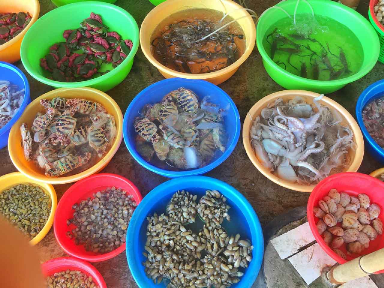 Biển Tân Thành Gò Công - Thiên đường cho "tín đồ" mê hải sản 36 Hải sản tươi sống ở chợ biển Gò Công