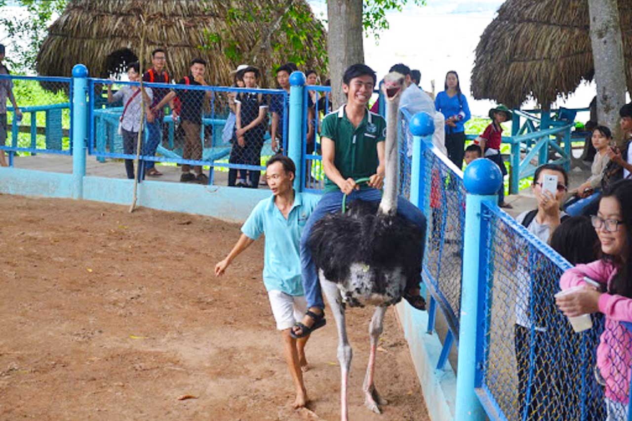 Khu du lịch Vinh Sang | Điểm thư giãn tuyệt vời tại miệt vườn Vĩnh Long 19 KDL Vinh Sang
