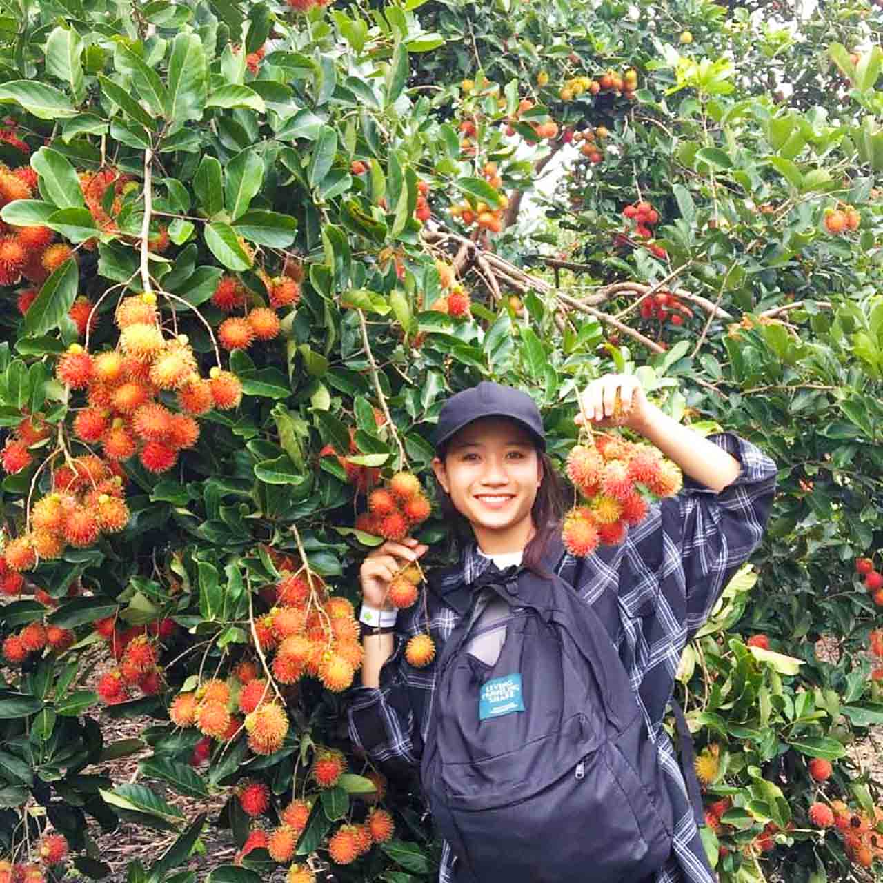 Khu du lịch Vinh Sang | Điểm thư giãn tuyệt vời tại miệt vườn Vĩnh Long 17 Khu du lịch sinh thái Vinh Sang Vĩnh Long