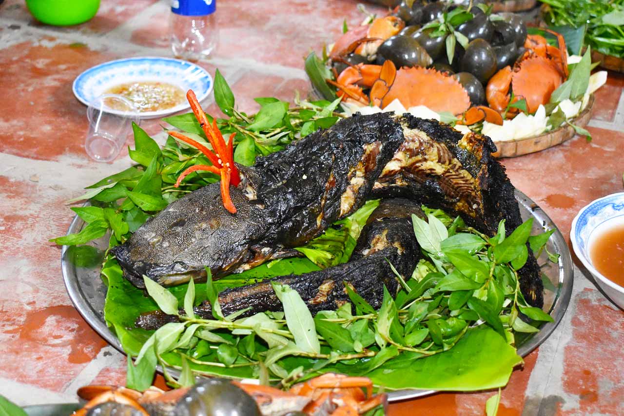 Khu du lịch Vinh Sang | Điểm thư giãn tuyệt vời tại miệt vườn Vĩnh Long 25 Khu du lịch Vinh Sang Vĩnh Long