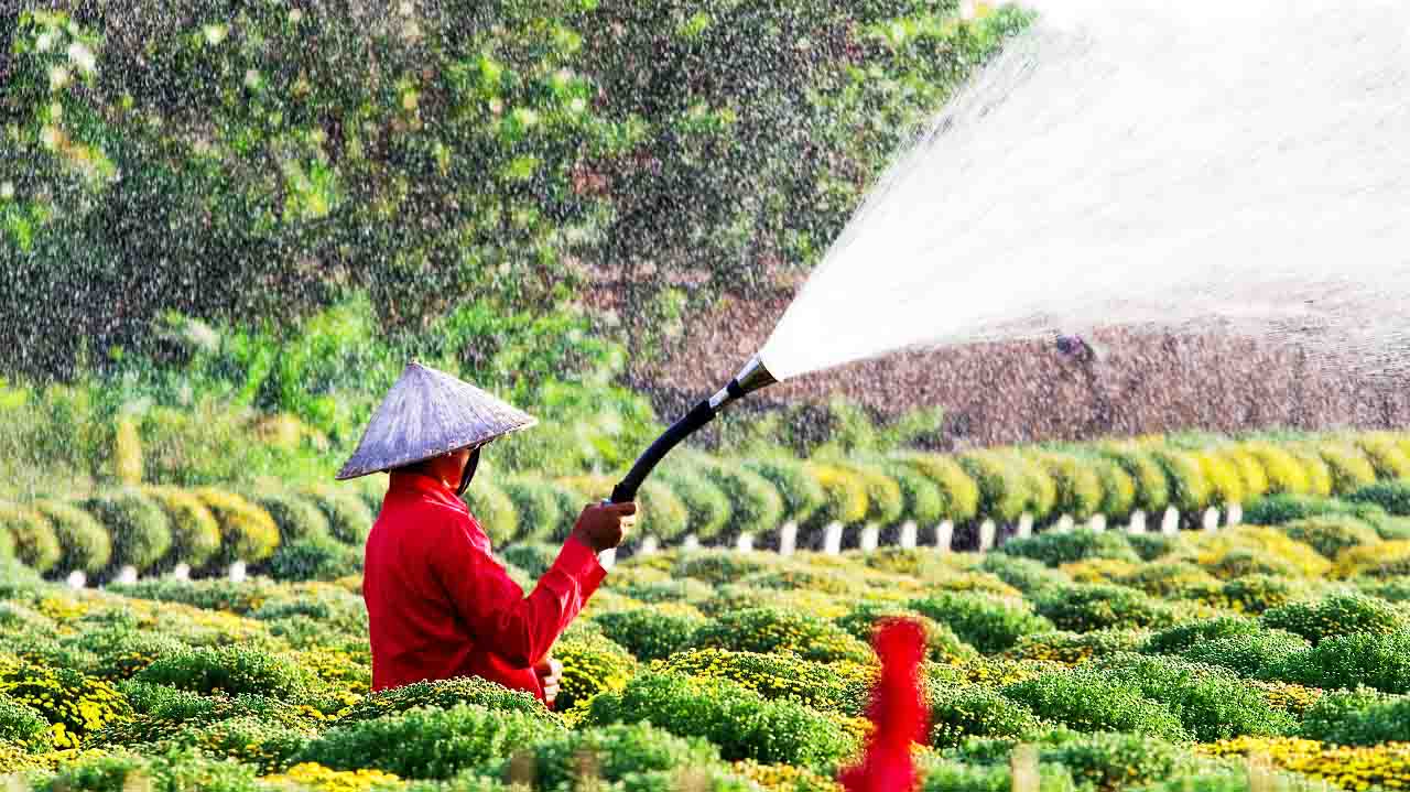 Đồng Tháp có gì chơi? Top 10 địa điểm du lịch Đồng Tháp hấp dẫn 36 Du lịch Đồng Tháp có gì chơi - Làng hoa Sa Đéc ở Đồng Tháp