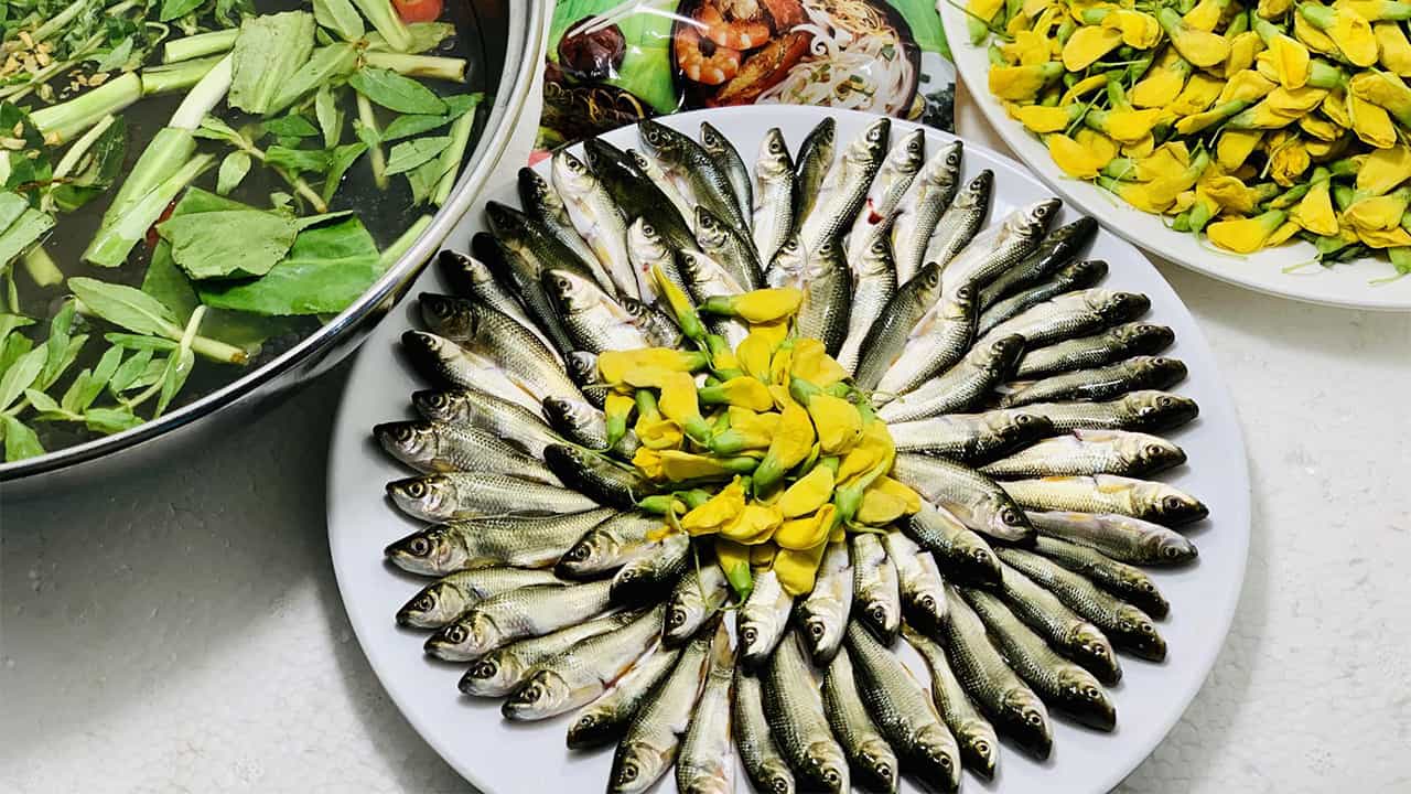 Khu du lịch văn hóa Phương Nam - Cẩm nang du lịch từ A-Z (2025) 22 Lẩu cá linh trứ danh mùa nước nổi
