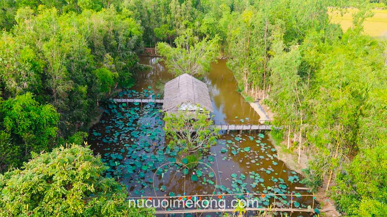 Lung Ngọc Hoàng - Khám phá "lá phổi xanh" của miền Tây (2025) 17 Toàn cảnh Lung Ngọc Hoàng