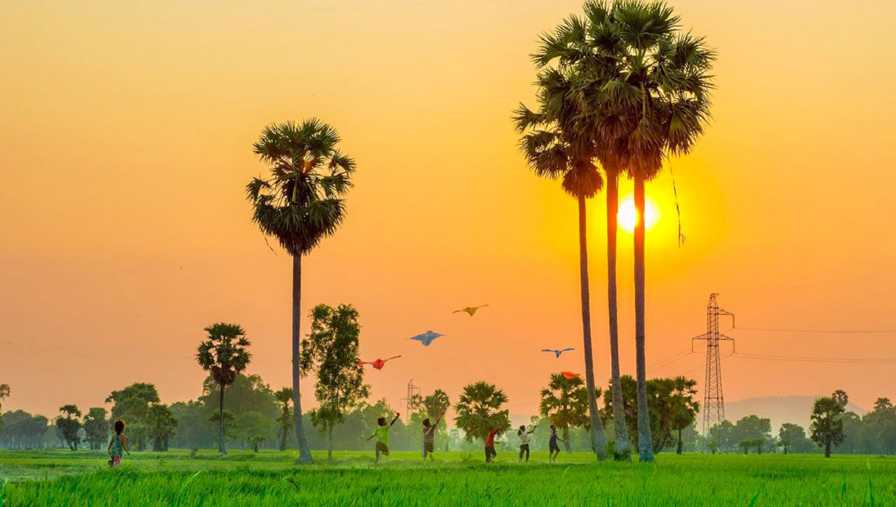 Cây thốt nốt An Giang - "Thoát ế" với cây thốt nốt trái tim cực ảo 36 Nô đùa bên cây thốt nốt