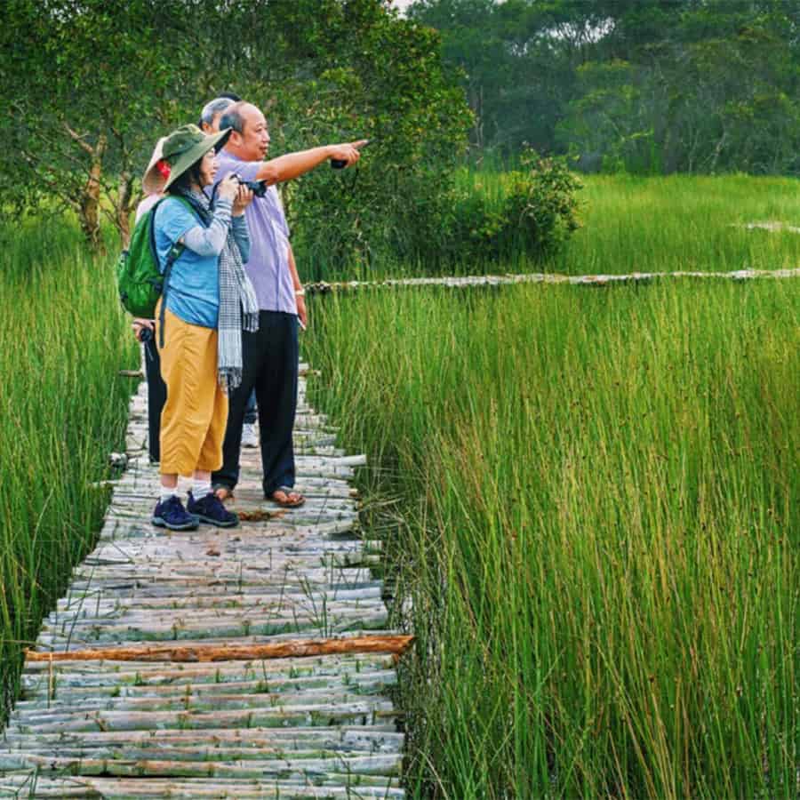 Làng nổi Tân Lập Long An - Kinh nghiệm du lịch tự túc (2025) 26 Rừng nổi Tân Lập