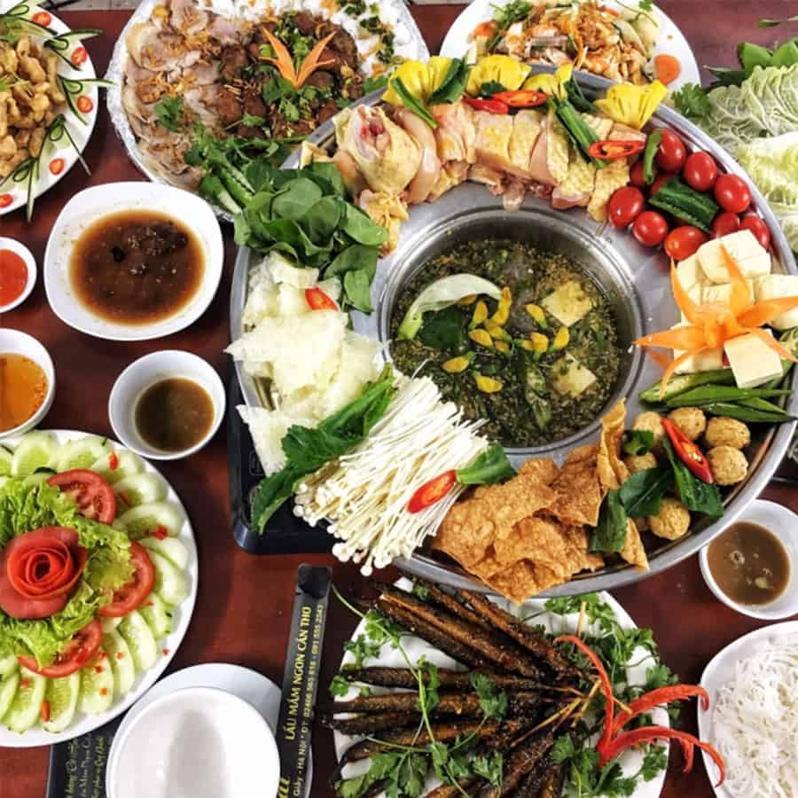 Làng nổi Tân Lập Long An - Kinh nghiệm du lịch tự túc (2025) 27 Rừng tràm Long An