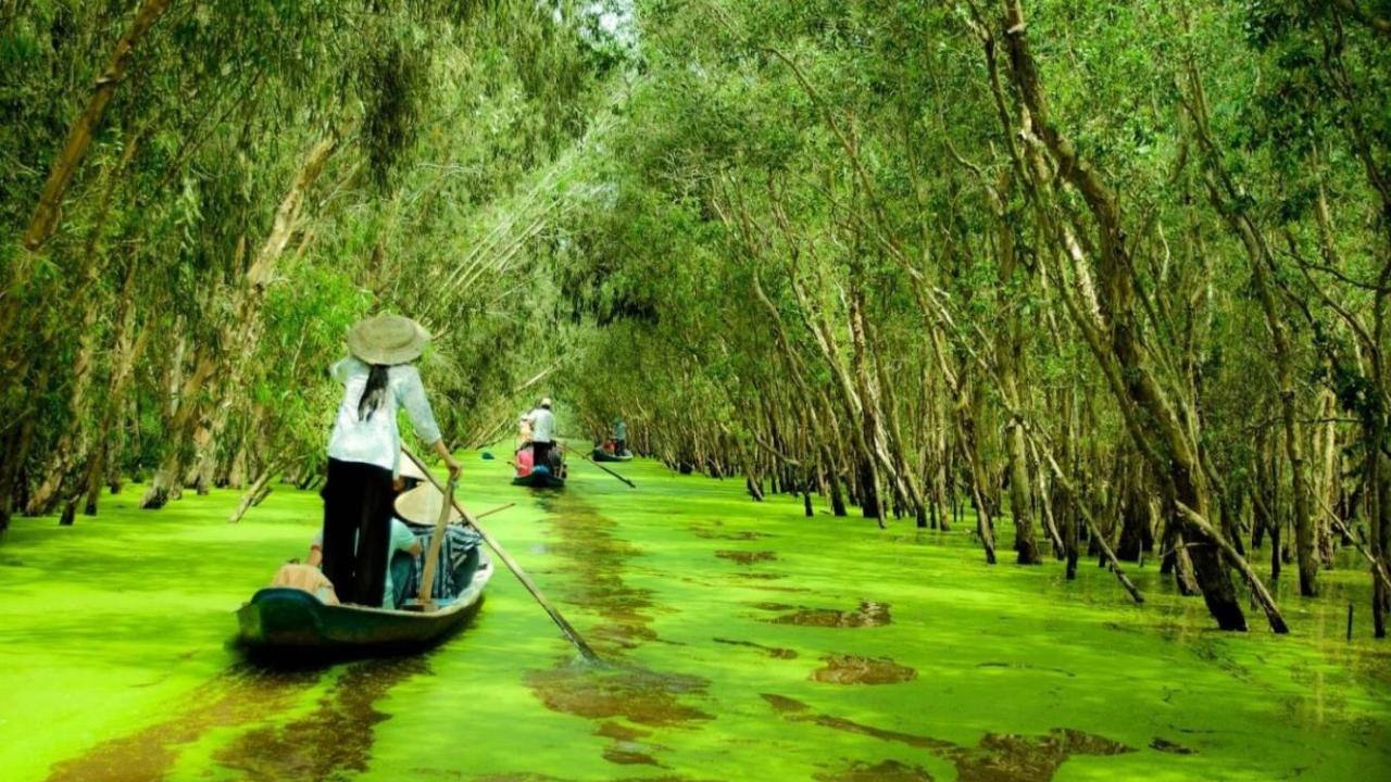 Chùa Bánh Xèo An Giang - Viếng Thiền viện Đông Lai (2025) 37 Rừng tràm Trà Sư
