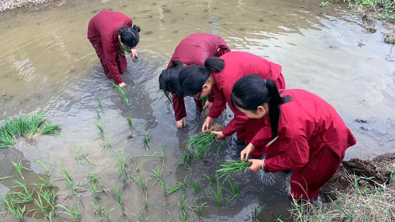 Khu du lịch văn hóa Phương Nam - Cẩm nang du lịch từ A-Z (2025) 17 Tham gia trò chơi dân gian - Khu du lịch sinh thái Phương Nam đồng tháp