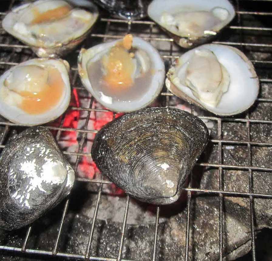 Biển Tân Thành Gò Công - Thiên đường cho "tín đồ" mê hải sản 35 Vọp biển Tân Thành