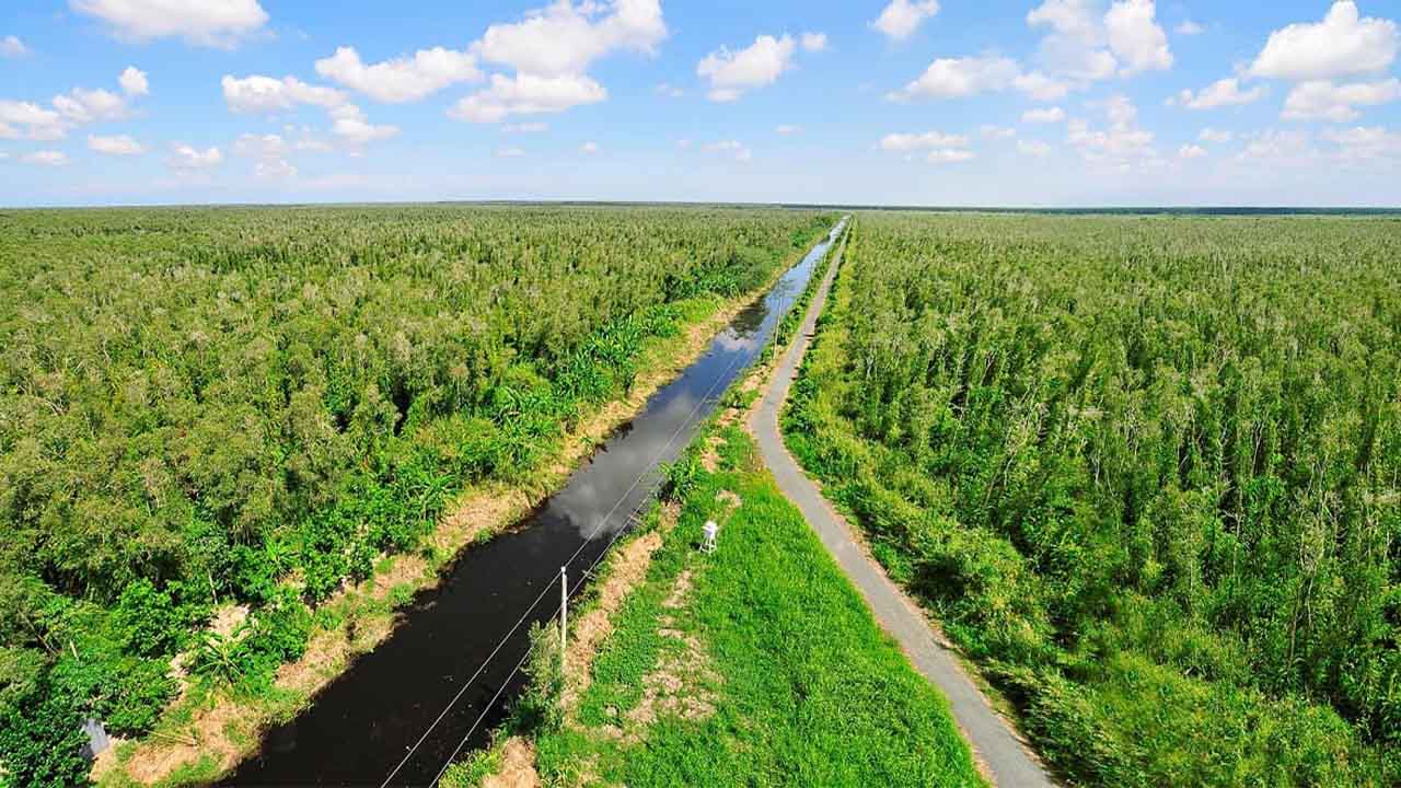 Du lịch Cà Mau - Điểm cuối cùng cực Nam của Tổ Quốc (2025) 36 vườn quốc gia u minh hạ